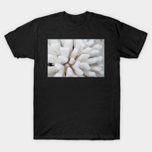 White Coral T-Shirt